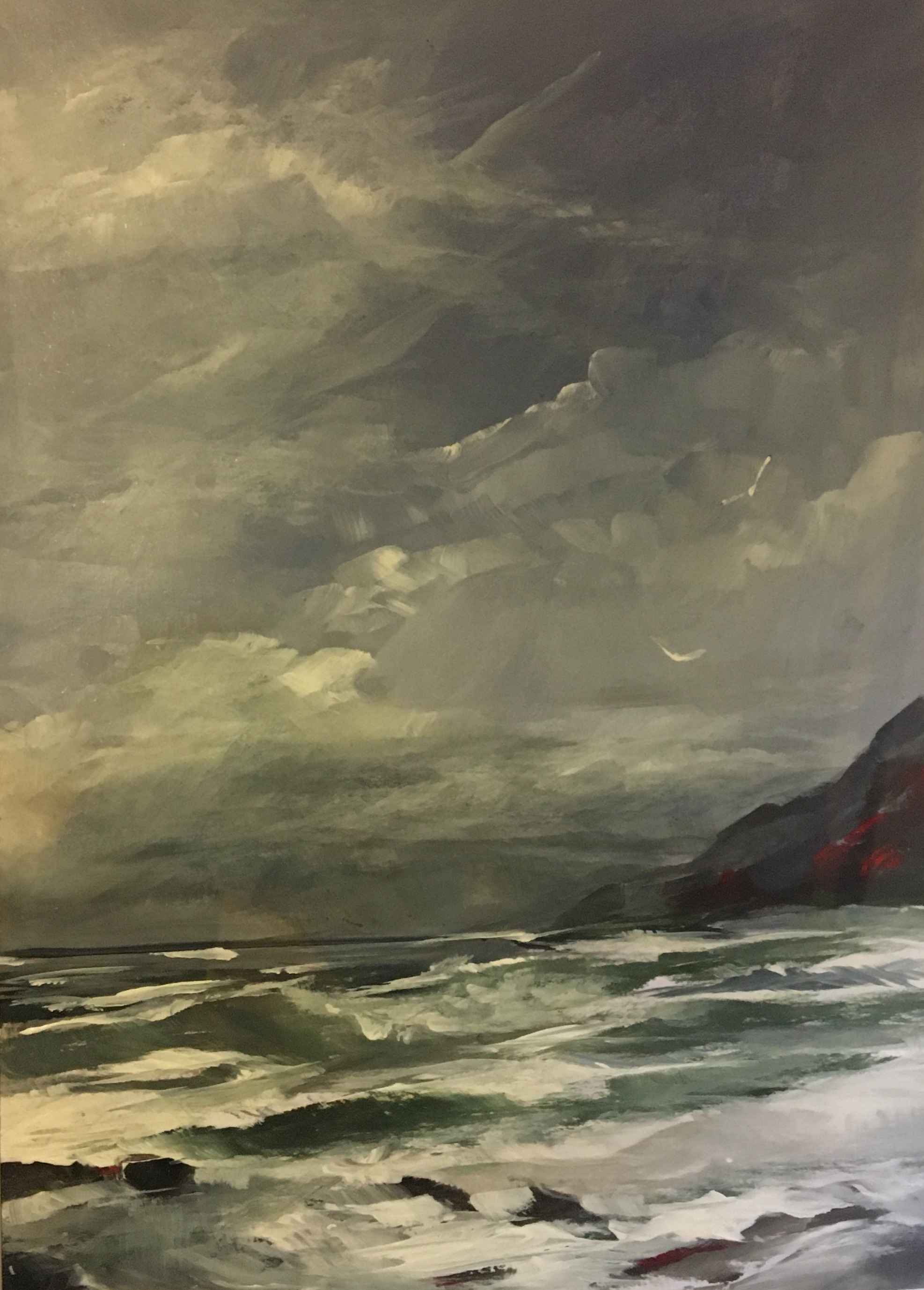 Malcolm  Bollen|   2 Seagulls | McAtamney Gallery and Design Store | Geraldine NZ 